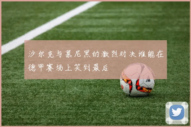 沙尔克与慕尼黑的激烈对决谁能在德甲赛场上笑到最后