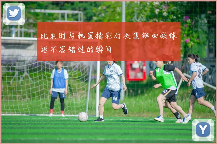 比利时与韩国精彩对决集锦回顾球迷不容错过的瞬间