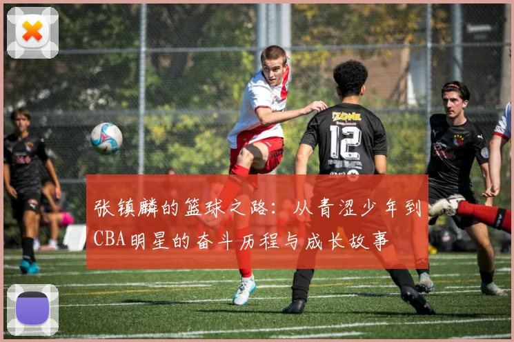 张镇麟的篮球之路：从青涩少年到CBA明星的奋斗历程与成长故事