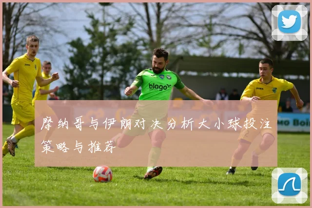 摩纳哥与伊朗对决分析大小球投注策略与推荐
