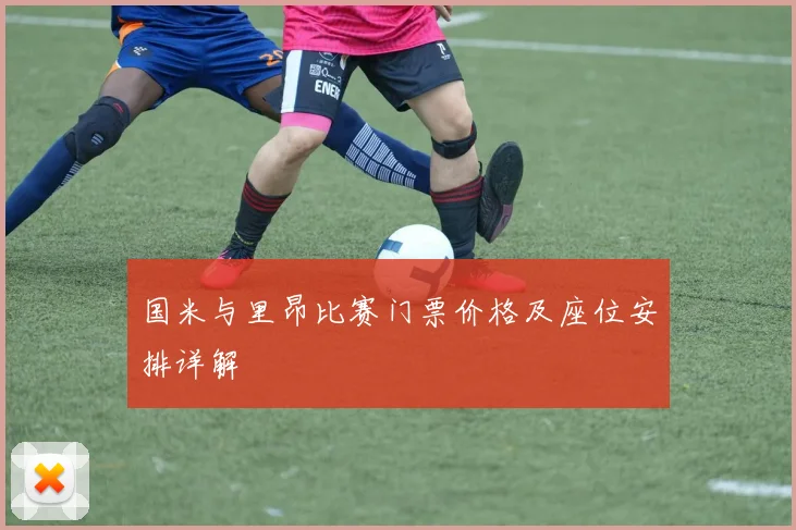 国米与里昂比赛门票价格及座位安排详解