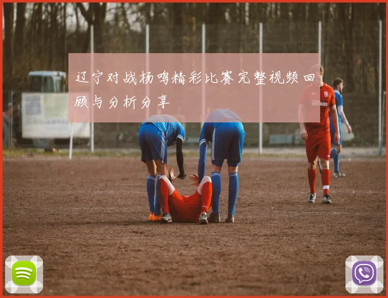 辽宁对战杨鸣精彩比赛完整视频回顾与分析分享
