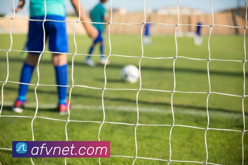 鸭脖集团平台生态图